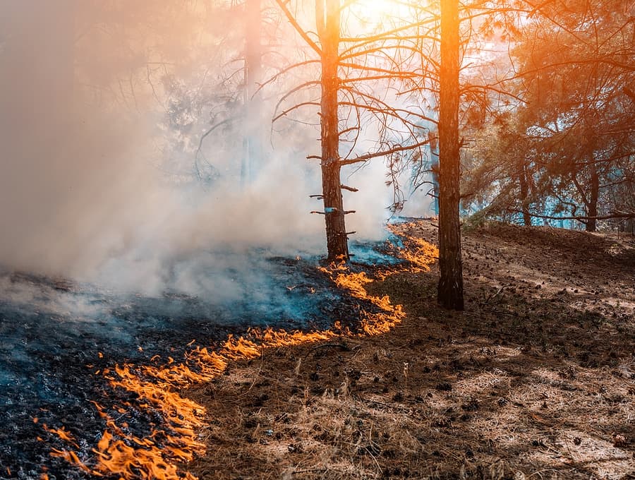 Safeguard Your Home with a Fire Hazard Inspection