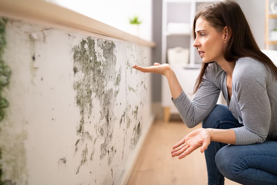Can Mold Affect Your Home’s Value in Orange County, CA?