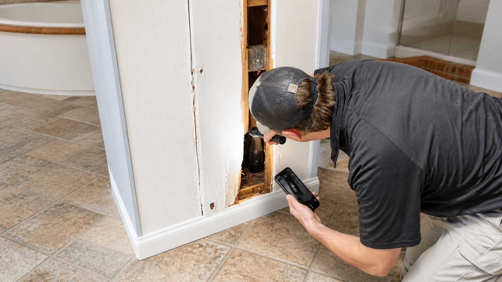 Termite Inspections in Anaheim, California by Trident Inspection Group