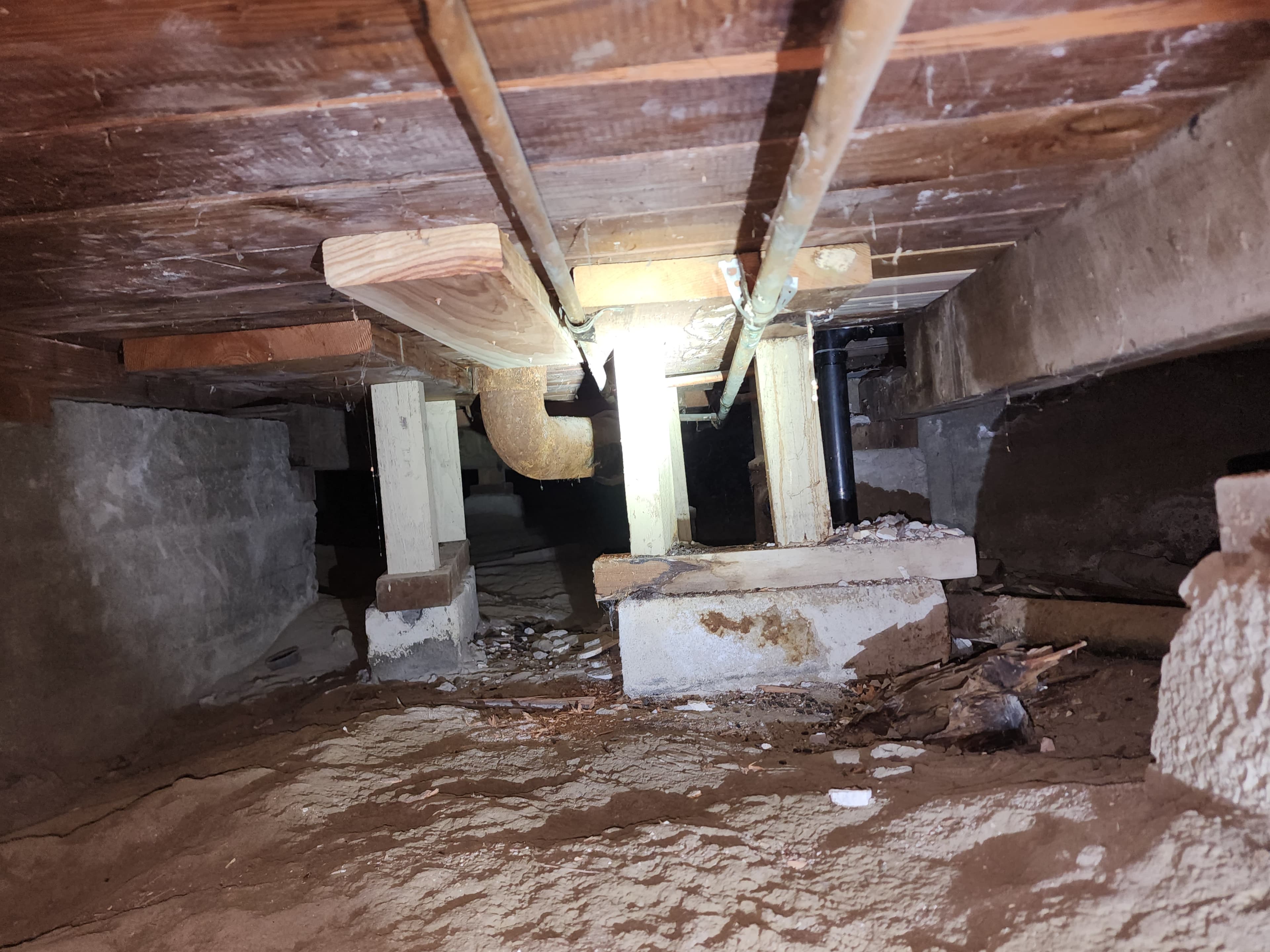 Termite damage in structural framing documented during a Trident inspection