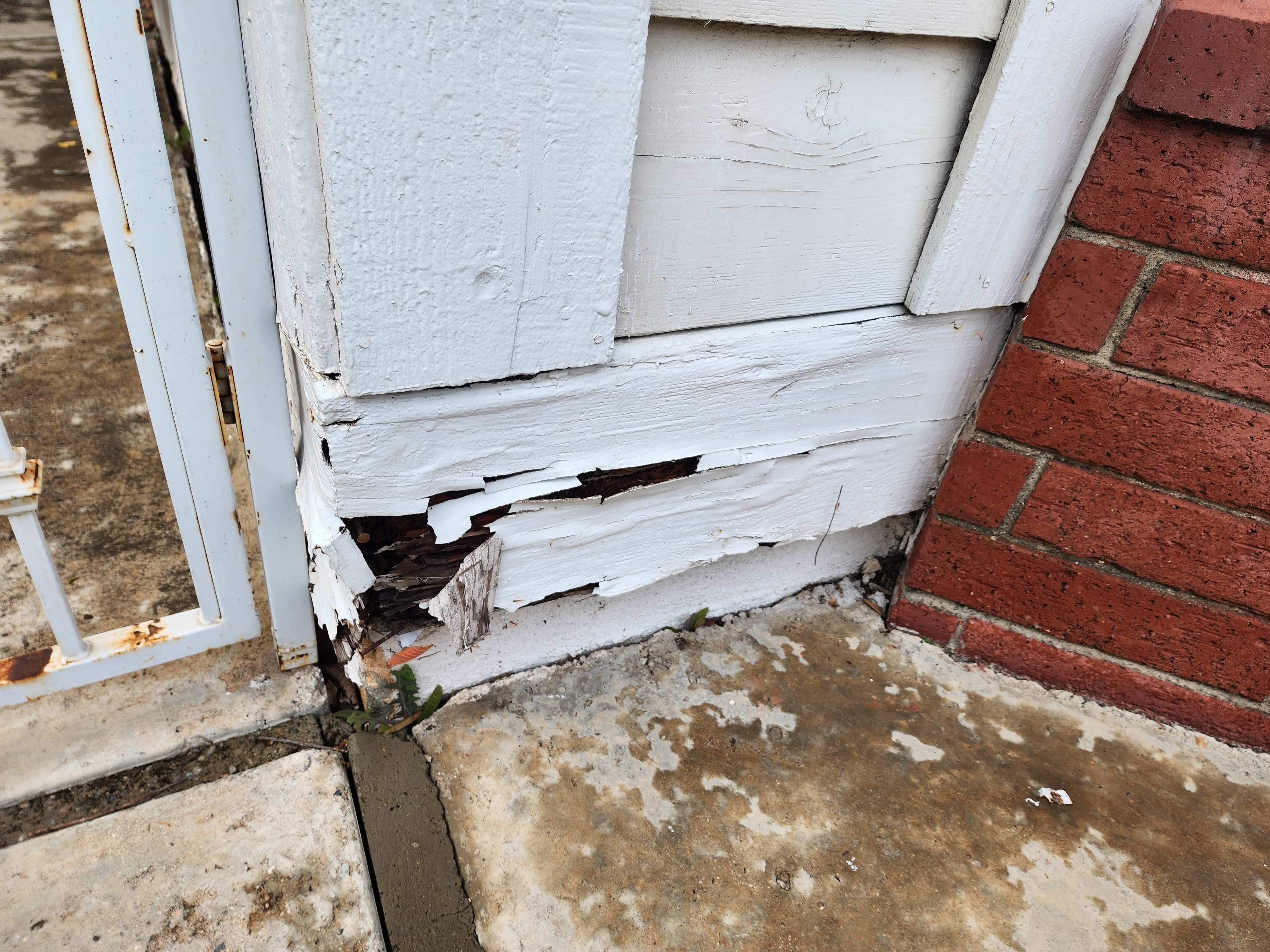 Drywood termite damage in wood members documented during a Trident inspection