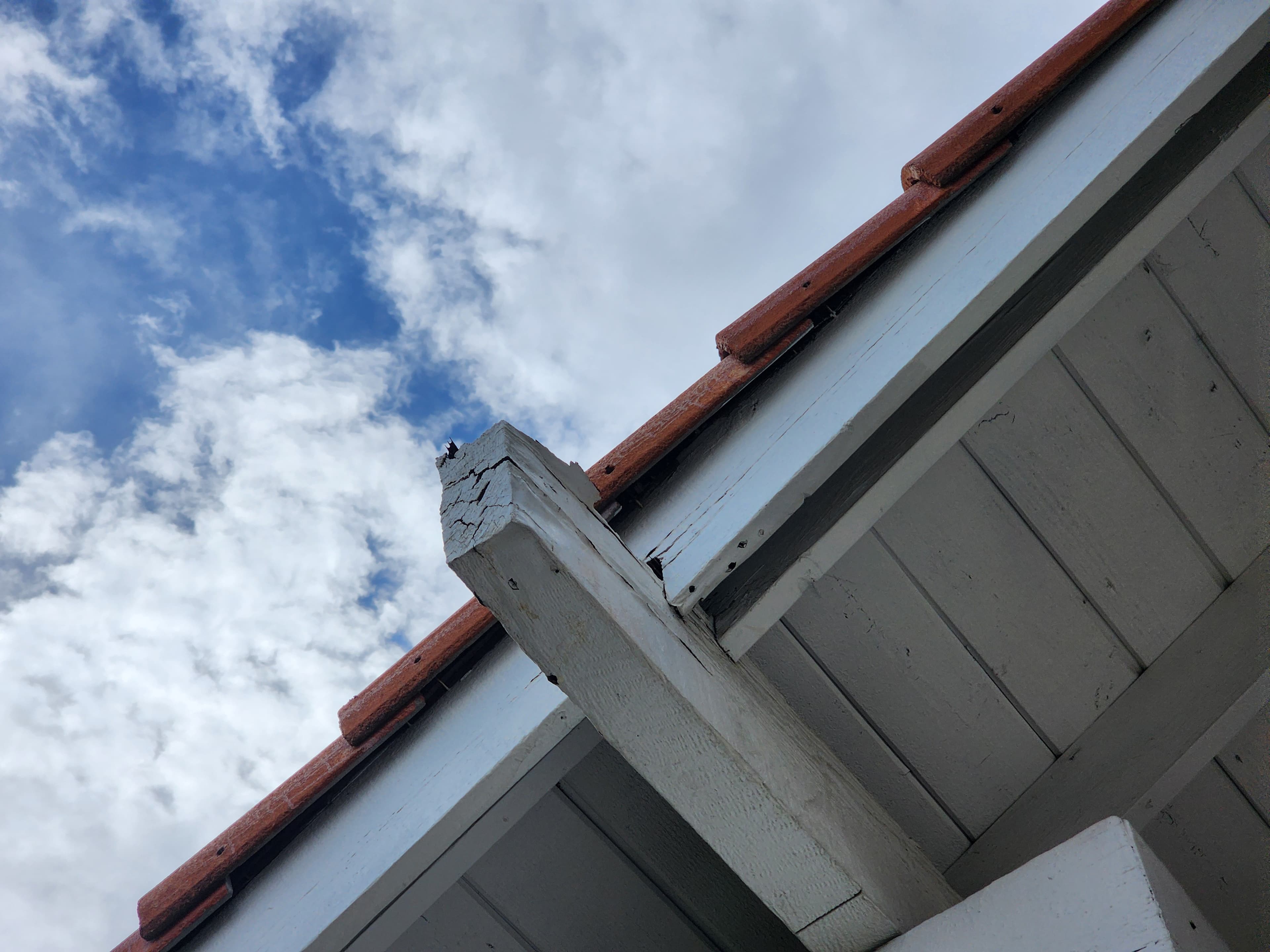 Drywood termite damage in wood members documented during a Trident inspection