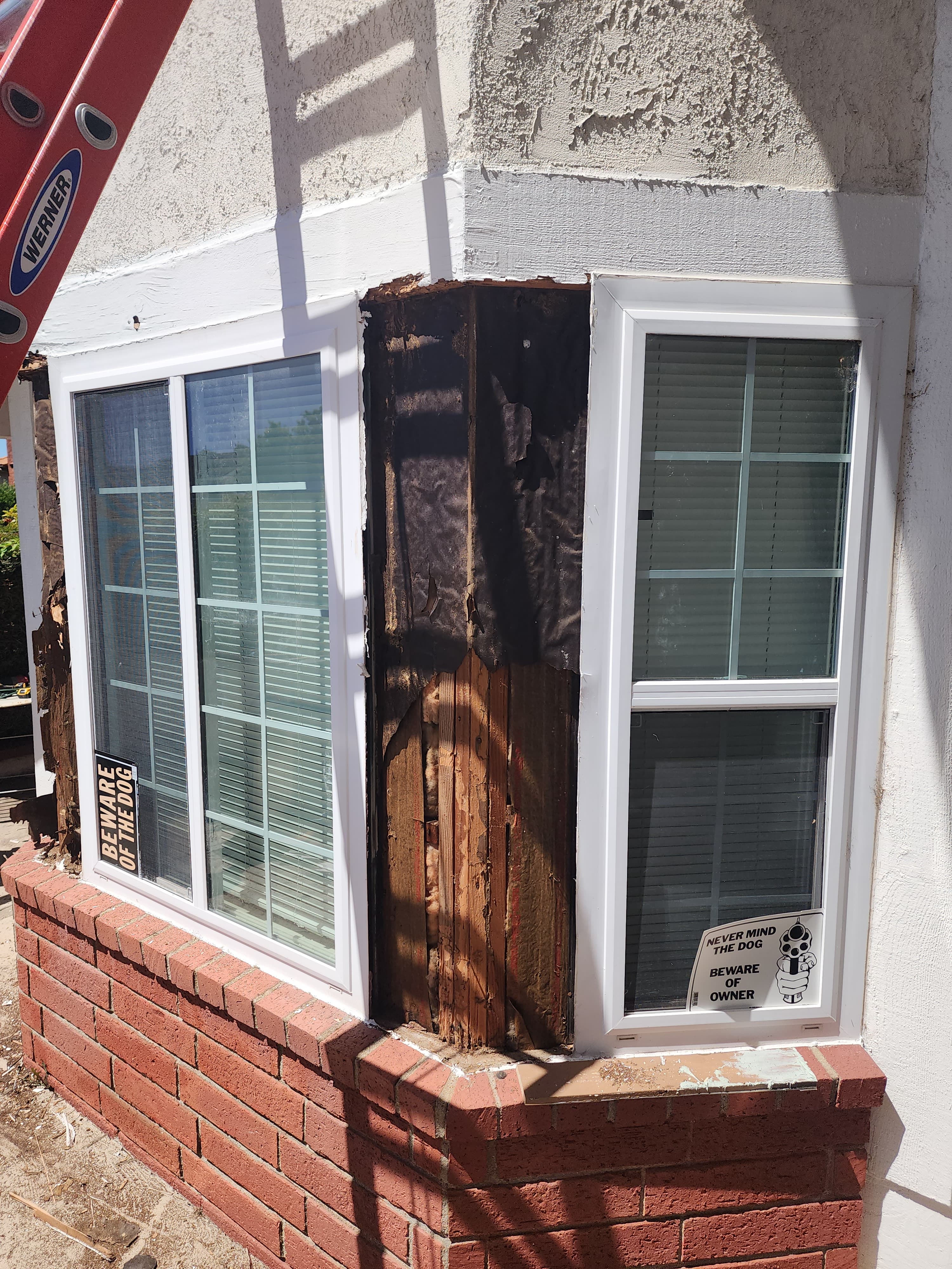 Drywood termite damage in wood members documented during a Trident inspection