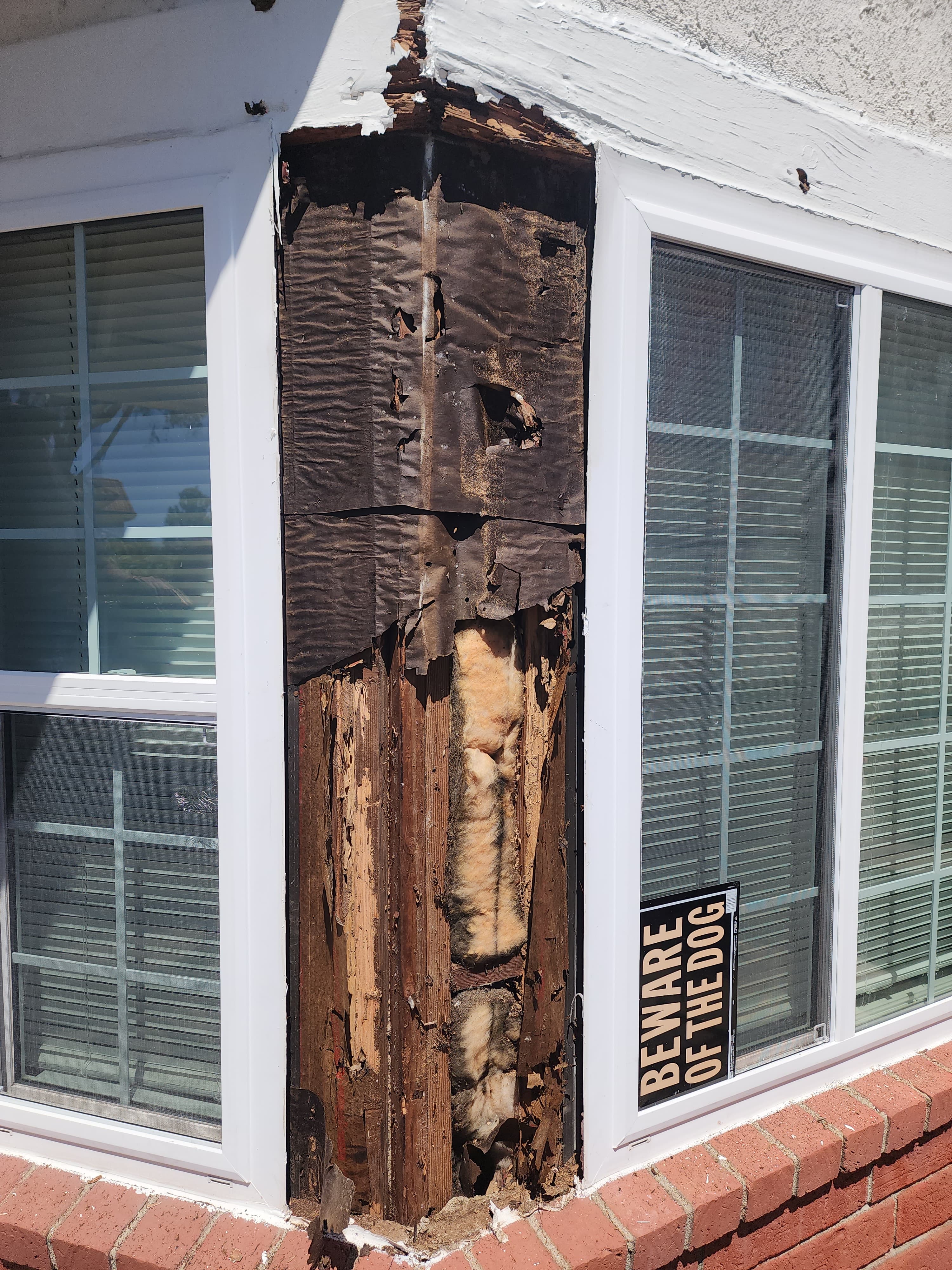 Drywood termite damage in wood members documented during a Trident inspection